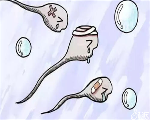 南京公立供卵医院试管助孕时间与失败补救指南，代生代怀服务解析