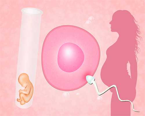 试管婴儿寿命真相揭秘：与自然受孕婴儿无异