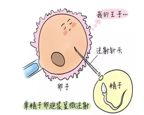 南京代生供卵网分享：试管婴儿孕酮服用与停药指南及真实案例警示