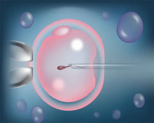 怀孕初期胸胀能预测胎儿性别吗?科学判断方法解析