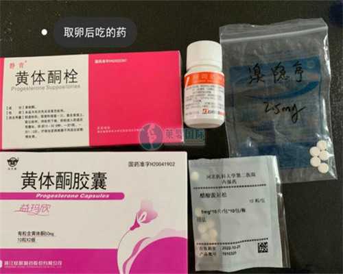 高龄供卵生子成功率与机构选择指南