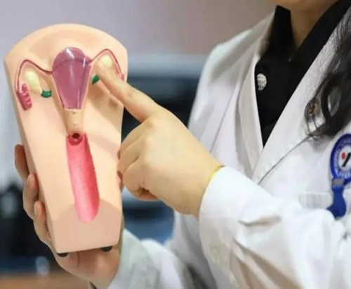 婴儿爬行比赛：促进发育与亲子互动的趣味活动
