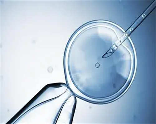 柬埔寨试管婴儿成功率解析与年龄因素指南