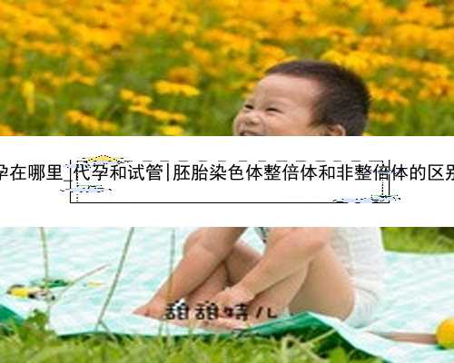 南京助孕在哪里_代孕和试管|胚胎染色体整倍体和非整倍体的区别在哪？