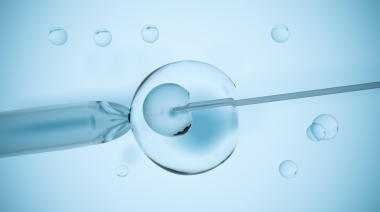 深圳诗悦供卵试管中心_试管胚胎分级是怎么分的？优质胚胎是几级？