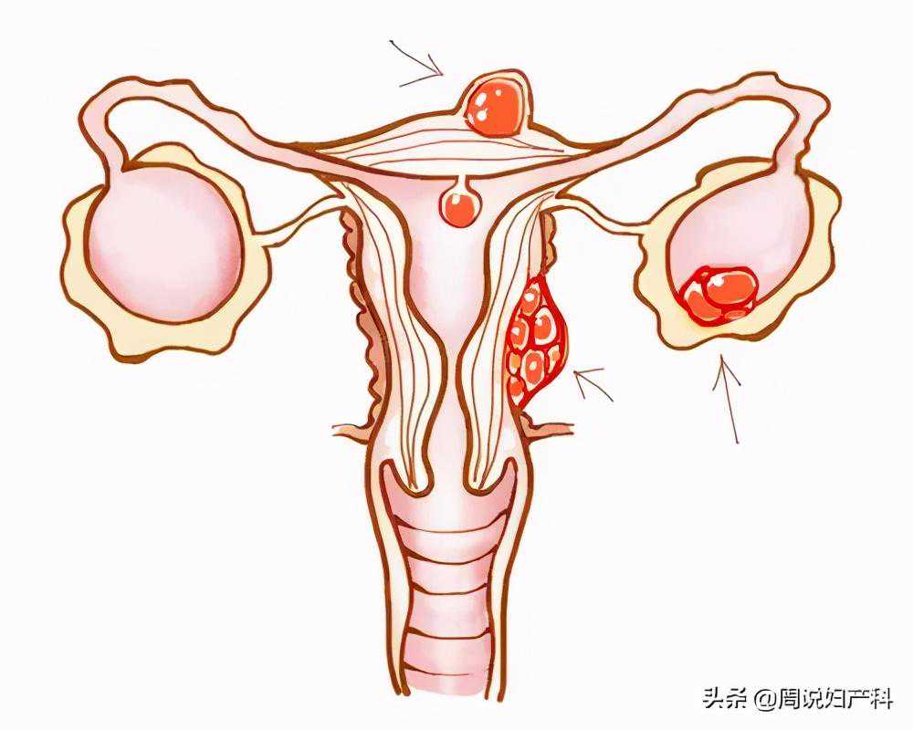 43岁女性月经期子宫内膜厚度正常范围是多少mm？