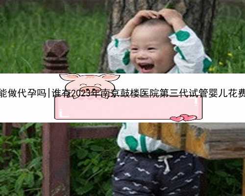 南京医院能做代孕吗|谁有2023年南京鼓楼医院第三代试管婴儿花费明细表？